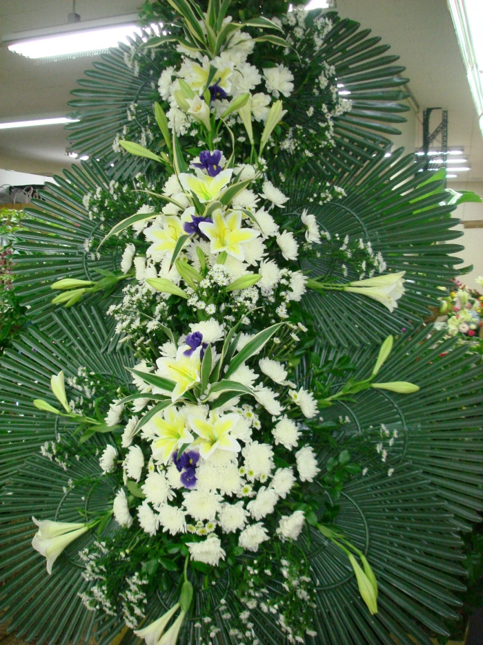 3ȭȯ